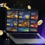 bety casino